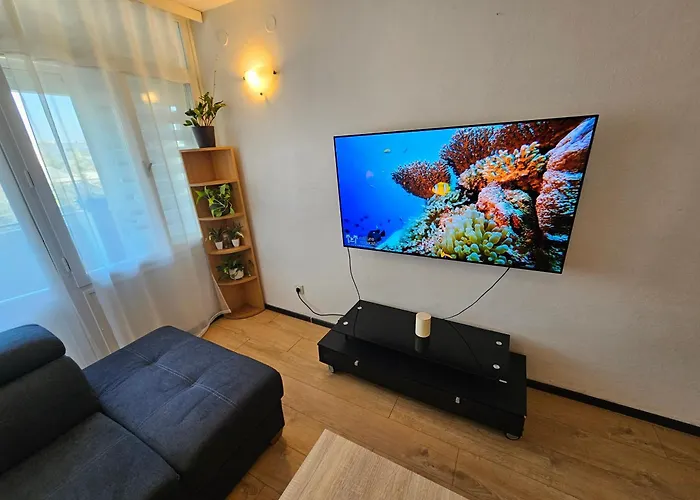 Great Flat Few Minutes From The Beach! Apartment Pula