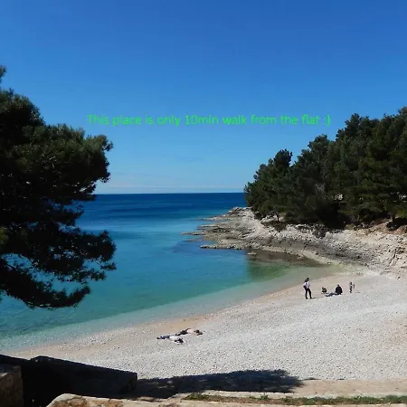 Apartment Great Flat Few Minutes From The Beach! *